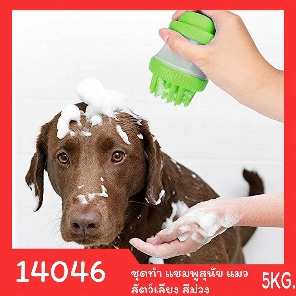 ชุดทำ แชมพูสุนัข แมว สัตว์เลี้ยง สีม่วง - 5kg