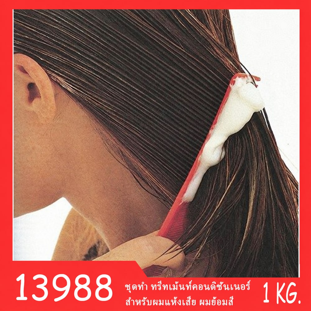 ชุดทำ ทรีทเม้นท์คอนดิชั่นเนอร์ สำหรับผมแห้งเสีย ผมย้อมสี -1kg.