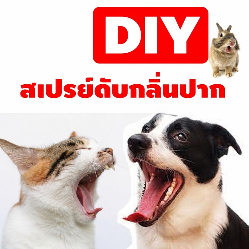 ชุดทำ สเปรย์ดับกลิ่นปาก สัตว์เลี้ยง สุนัข หมา แมว กระต่าย ฯลฯ-1kg