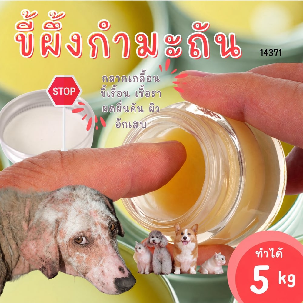 14371-ชุดทำ ขี้ผึ้งเม้นจ์ ขี้ผึ้งกำมะถัน ทาแก้กลากเกลือน เรื้อน ลดเชื้อรา-5kg